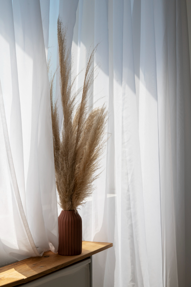 interior-design-with-decorative-plant